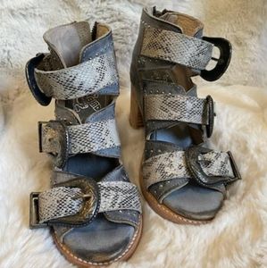 FREEBIRD Violet size 5